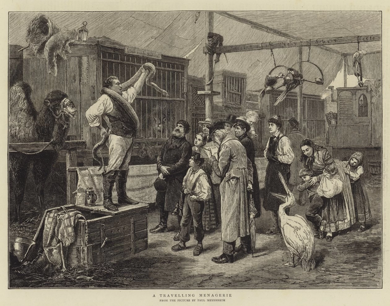 Il circo itinerante